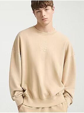 Champion French Terry Mens Crew Neck Long Sleeve Sweatshirt,Size Medium